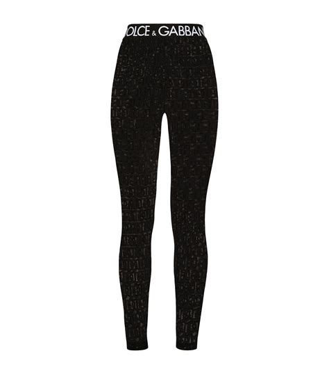 dolce & gabbana leggings women's|d&g website.